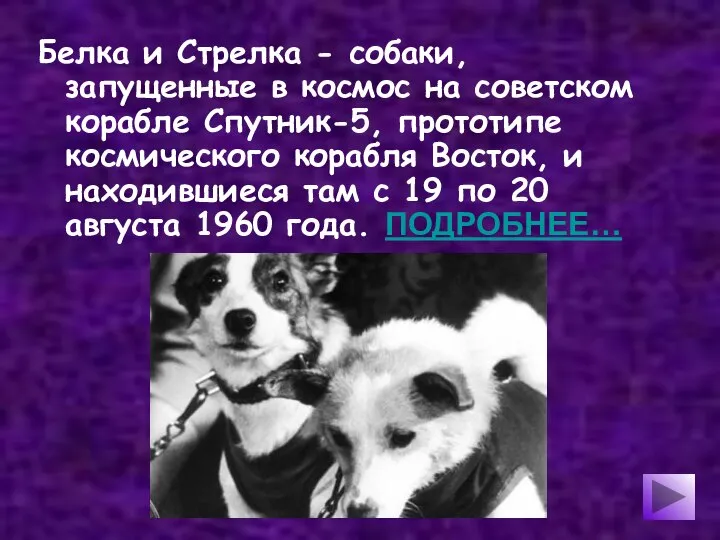 Белка и Стрелка - собаки, запущенные в космос на советском корабле