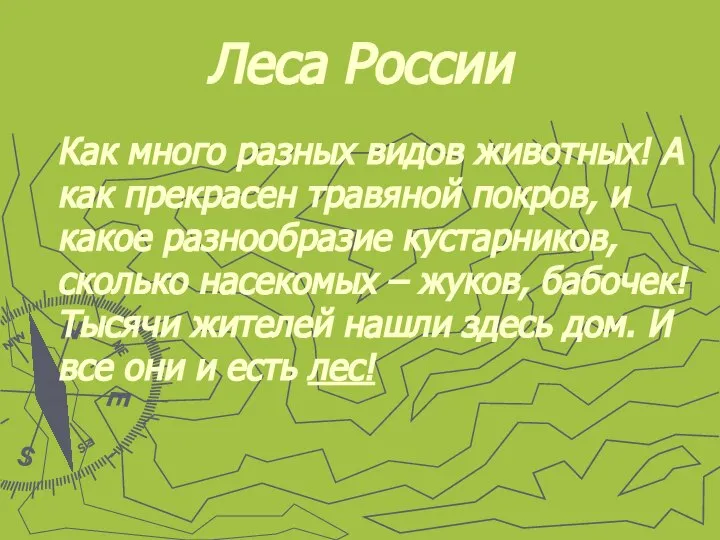 Леса России Как много разных видов животных! А как прекрасен травяной
