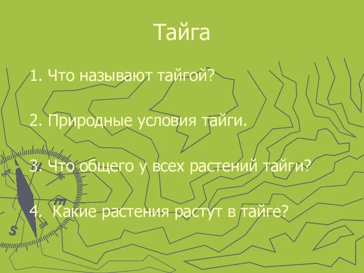 Тайга 1. Что называют тайгой? 2. Природные условия тайги. 3. Что