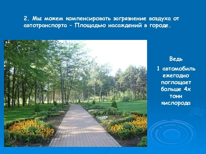 2. Мы можем компенсировать загрязнение воздуха от автотранспорта – Площадью насаждений