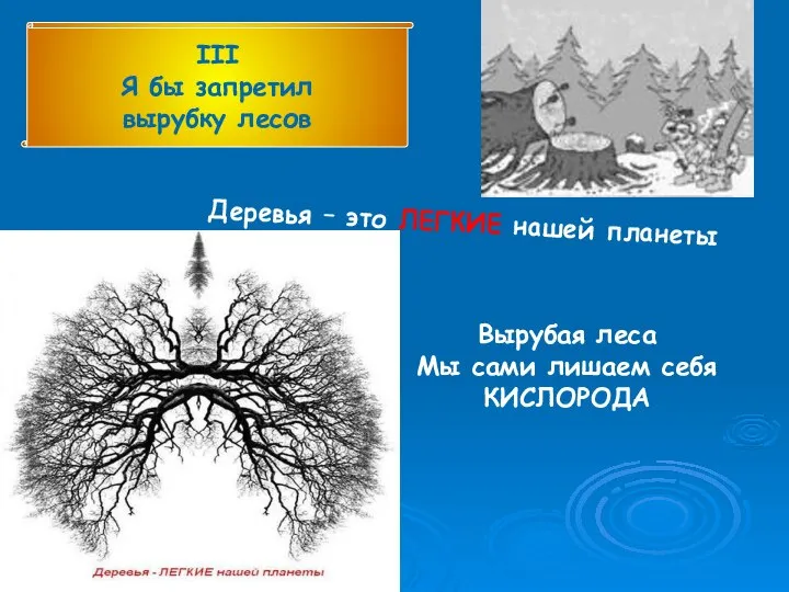 III Я бы запретил вырубку лесов Деревья – это ЛЕГКИЕ нашей