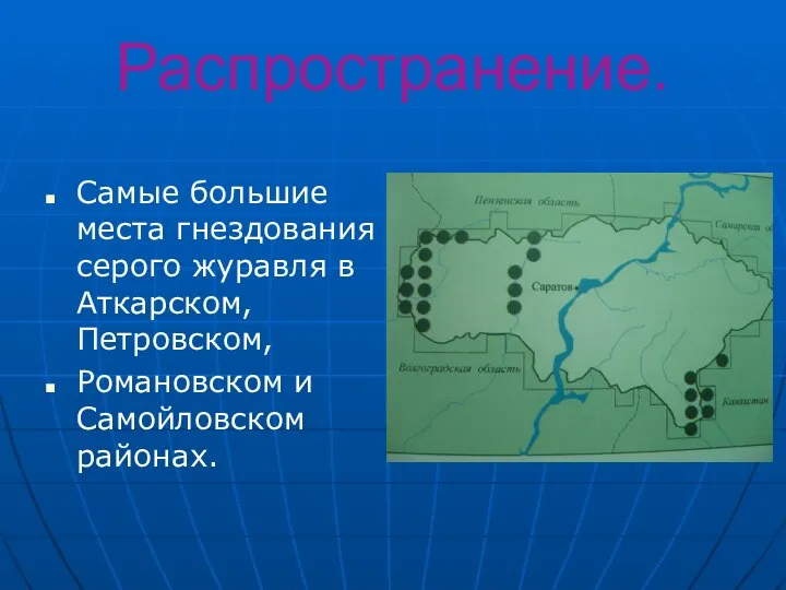 Распространение. Самые большие места гнездования серого журавля в Аткарском, Петровском, Романовском и Самойловском районах.