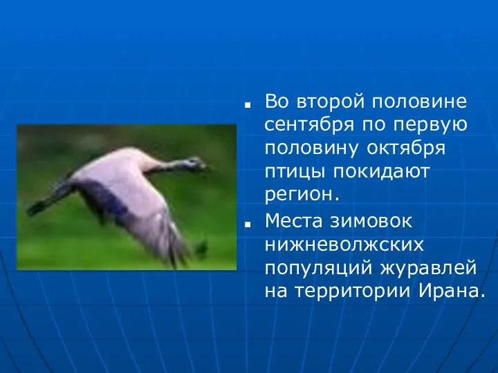 Во второй половине сентября по первую половину октября птицы покидают регион.