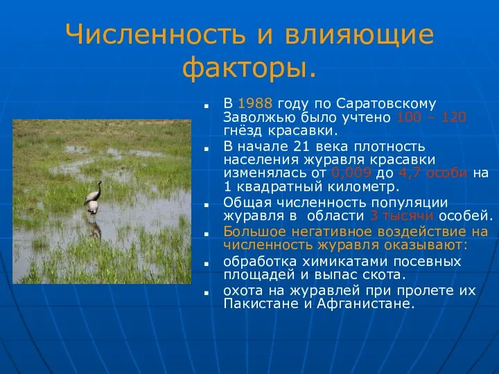 Численность и влияющие факторы. В 1988 году по Саратовскому Заволжью было