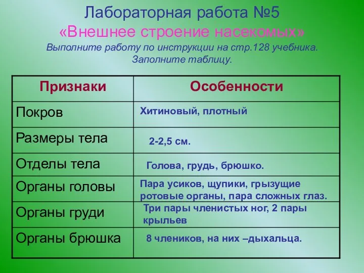 Лабораторная работа №5 «Внешнее строение насекомых» Выполните работу по инструкции на