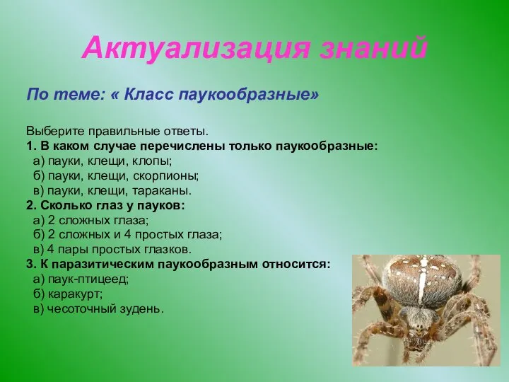 Актуализация знаний По теме: « Класс паукообразные» Выберите правильные ответы. 1.