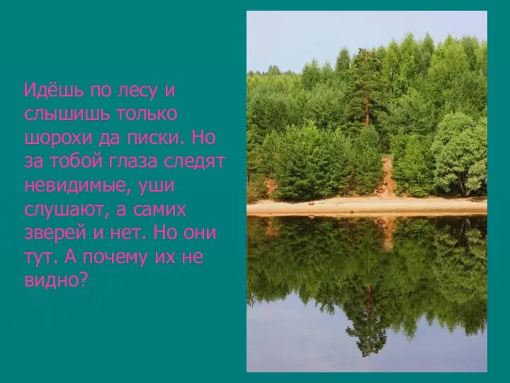 Идёшь по лесу и слышишь только шорохи да писки. Но за