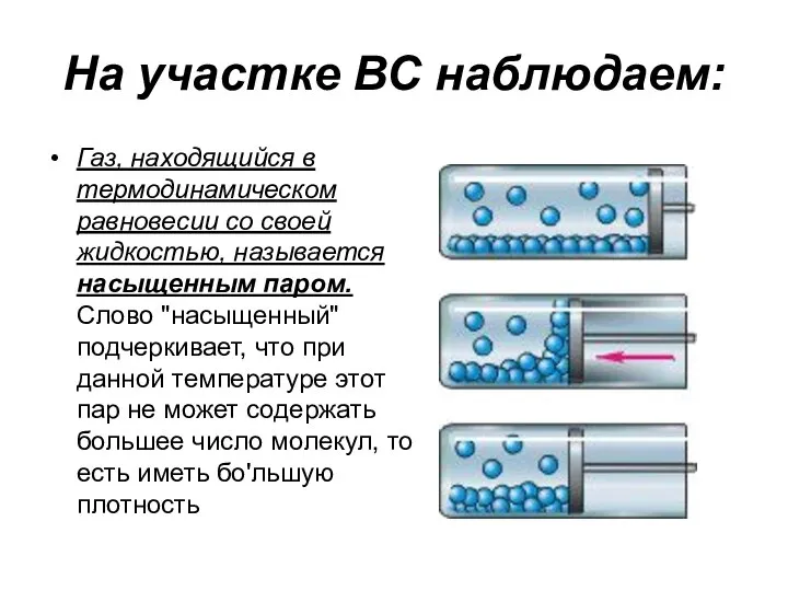 На участке ВС наблюдаем: Газ, находящийся в термодинамическом равновесии со своей