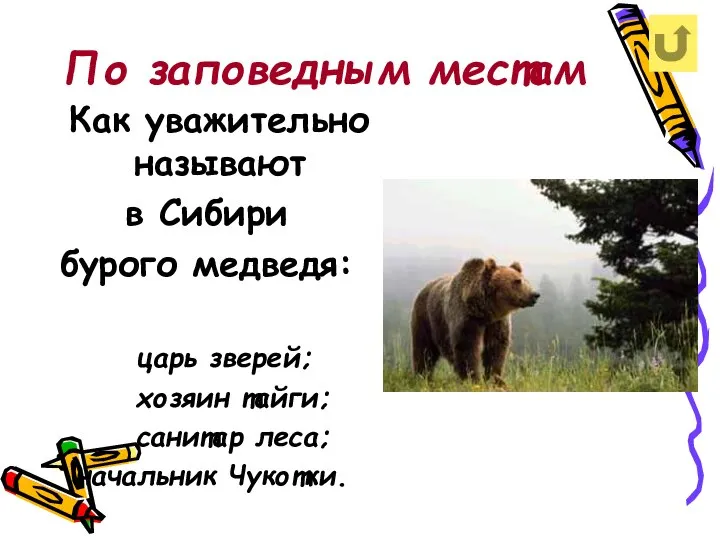 По заповедным местам Как уважительно называют в Сибири бурого медведя: царь