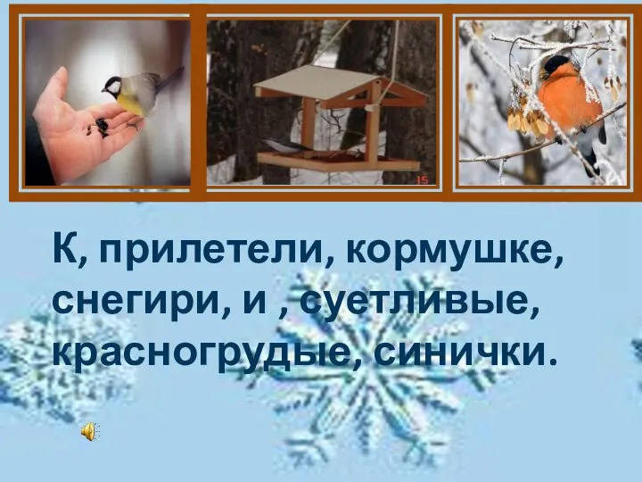 К, прилетели, кормушке, снегири, и , суетливые, красногрудые, синички.