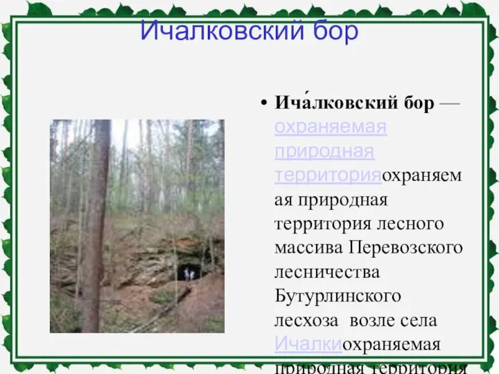 Ичалковский бор Ича́лковский бор — охраняемая природная территорияохраняемая природная территория лесного