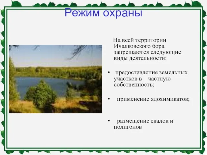 Режим охраны На всей территории Ичалковского бора запрещаются следующие виды деятельности: