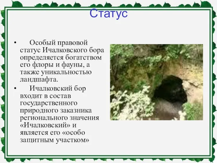 Статус Особый правовой статус Ичалковского бора определяется богатством его флоры и