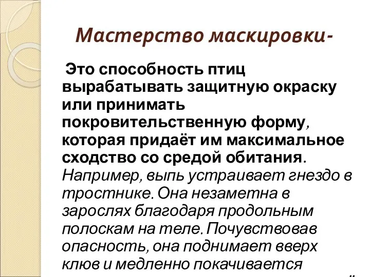 Мастерство маскировки- Это способность птиц вырабатывать защитную окраску или принимать покровительственную