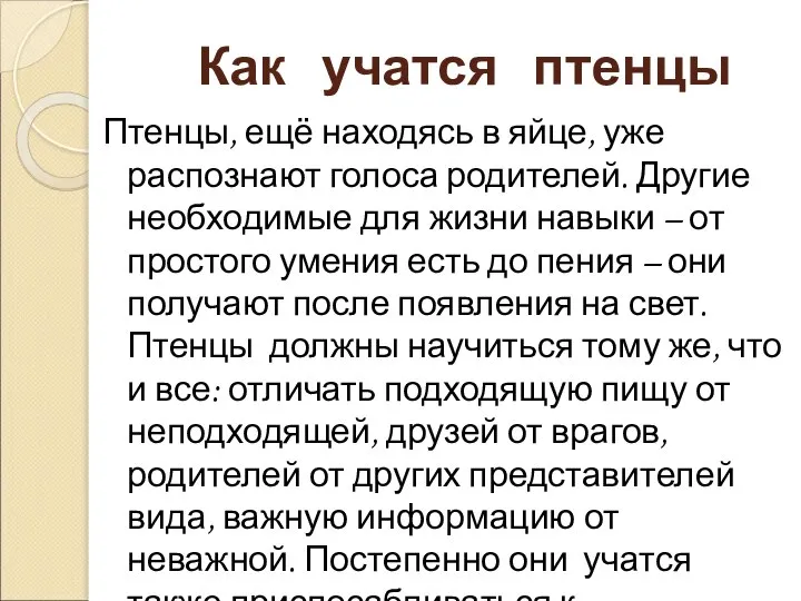 Как учатся птенцы Птенцы, ещё находясь в яйце, уже распознают голоса