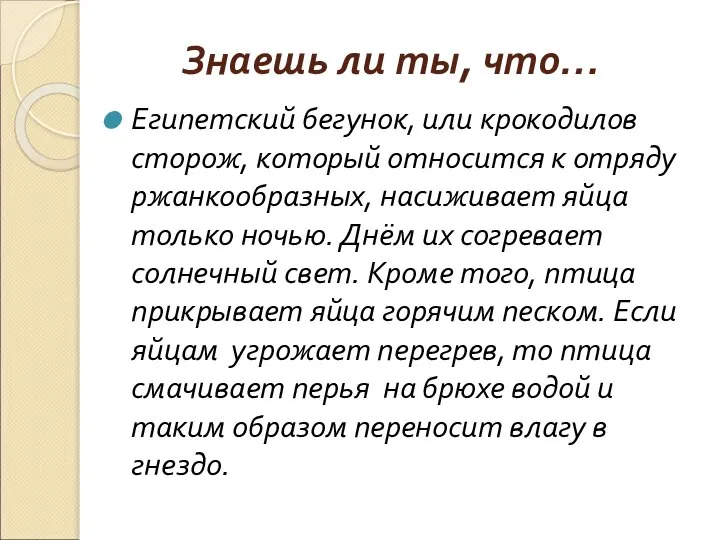 Знаешь ли ты, что… Египетский бегунок, или крокодилов сторож, который относится