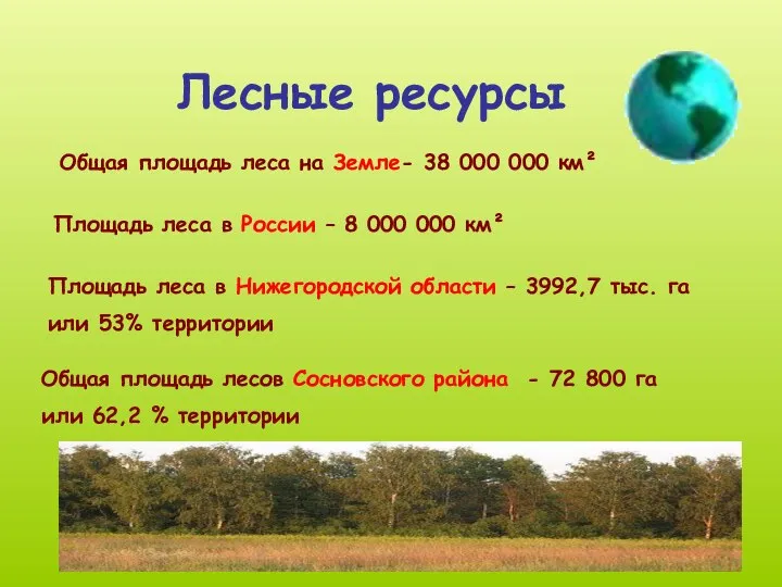 Лесные ресурсы Общая площадь леса на Земле- 38 000 000 км²