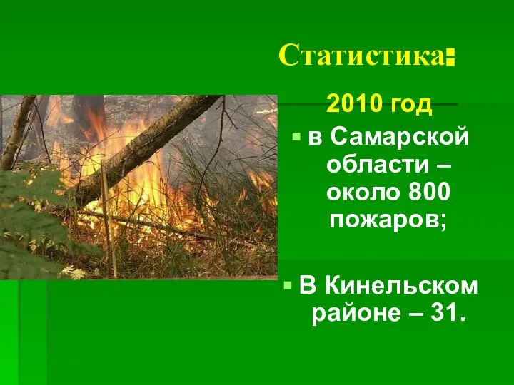 Статистика: 2010 год в Самарской области – около 800 пожаров; В Кинельском районе – 31.