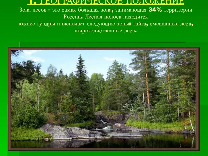 1. ГЕОГРАФИЧЕСКОЕ ПОЛОЖЕНИЕ Зона лесов - это самая большая зона, занимающая