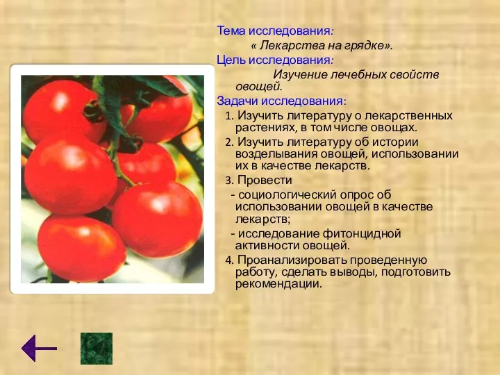 Тема исследования: « Лекарства на грядке». Цель исследования: Изучение лечебных свойств