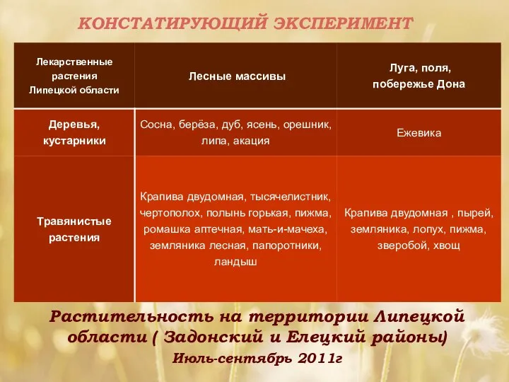 КОНСТАТИРУЮЩИЙ ЭКСПЕРИМЕНТ Растительность на территории Липецкой области ( Задонский и Елецкий районы) Июль-сентябрь 2011г