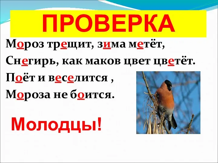 ПРОВЕРКА Мороз трещит, зима метёт, Снегирь, как маков цвет цветёт. Поёт