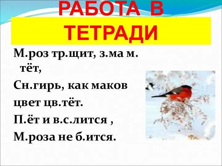 РАБОТА В ТЕТРАДИ М.роз тр.щит, з.ма м.тёт, Сн.гирь, как маков цвет