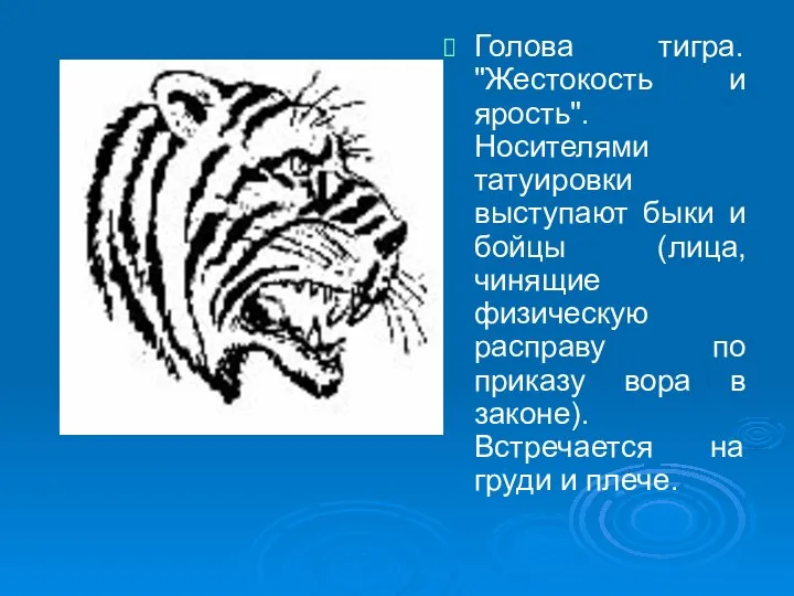 Голова тигра. "Жестокость и ярость". Носителями татуировки выступают быки и бойцы