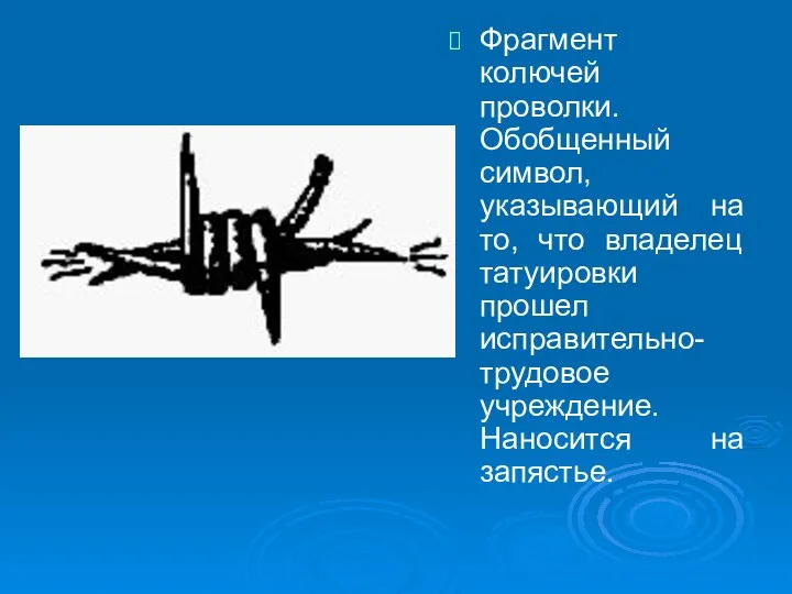 Фрагмент колючей проволки. Обобщенный символ, указывающий на то, что владелец татуировки