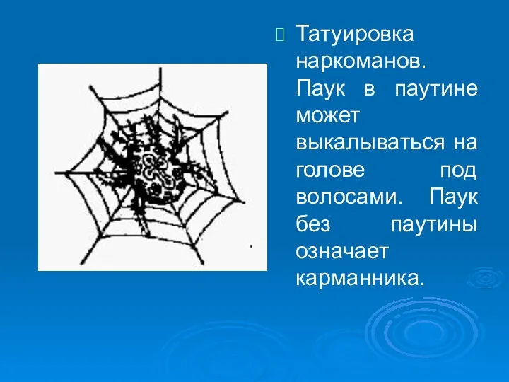 Татуировка наркоманов. Паук в паутине может выкалываться на голове под волосами. Паук без паутины означает карманника.