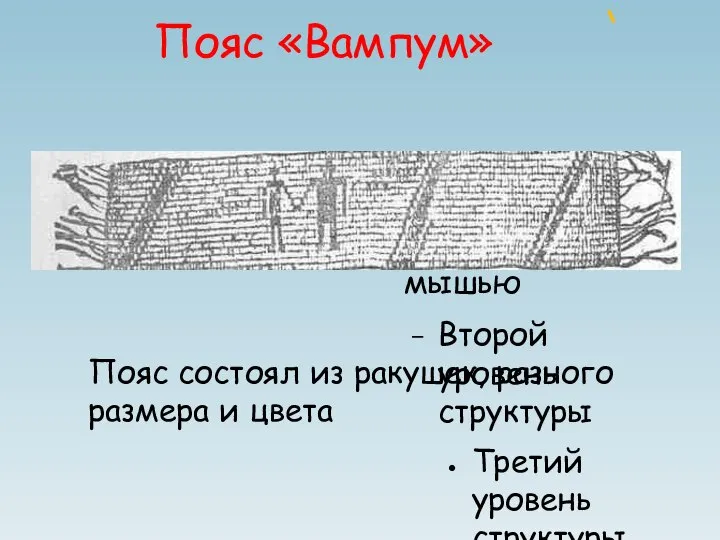 Пояс «Вампум» Пояс состоял из ракушек, разного размера и цвета