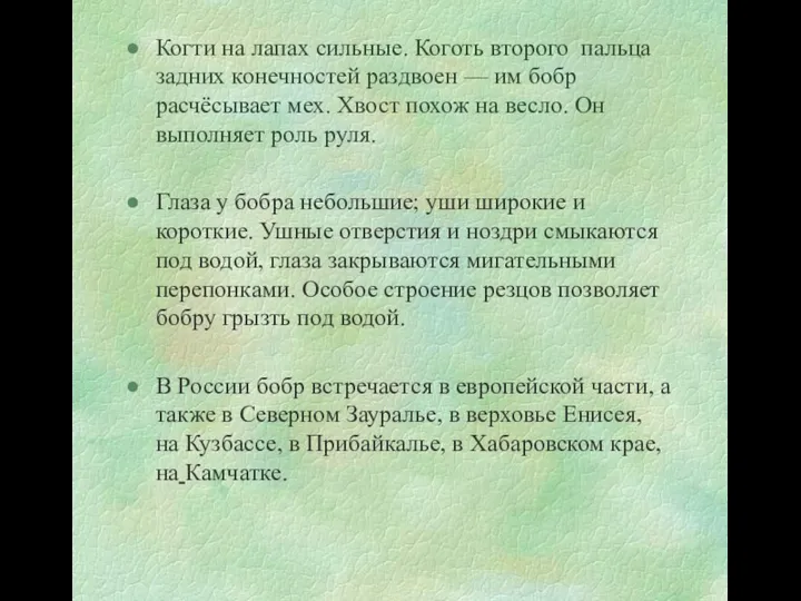 Когти на лапах сильные. Коготь второго пальца задних конечностей раздвоен —