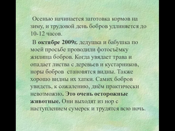 Осенью начинается заготовка кормов на зиму, и трудовой день бобров удлиняется