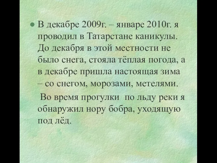 В декабре 2009г. – январе 2010г. я проводил в Татарстане каникулы.