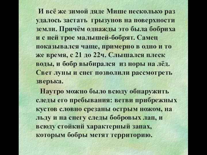 И всё же зимой дяде Мише несколько раз удалось застать грызунов