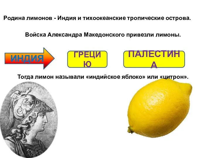 Родина лимонов - Индия и тихоокеанские тропические острова. Войска Александра Македонского