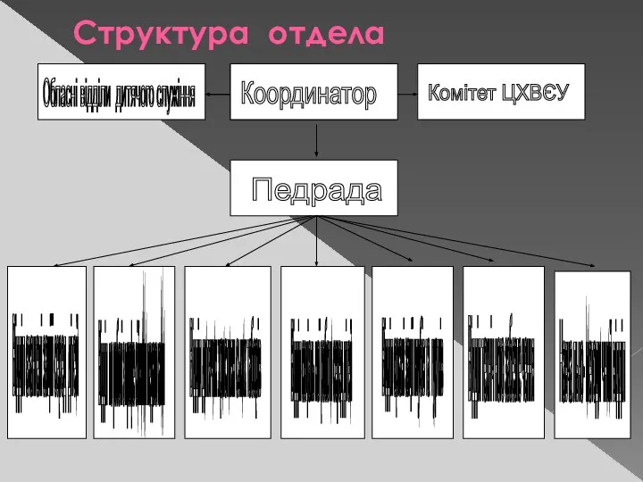 Структура отдела Координатор Обласні відділи Педрада Обласні відділи дитячого служіння Комітет