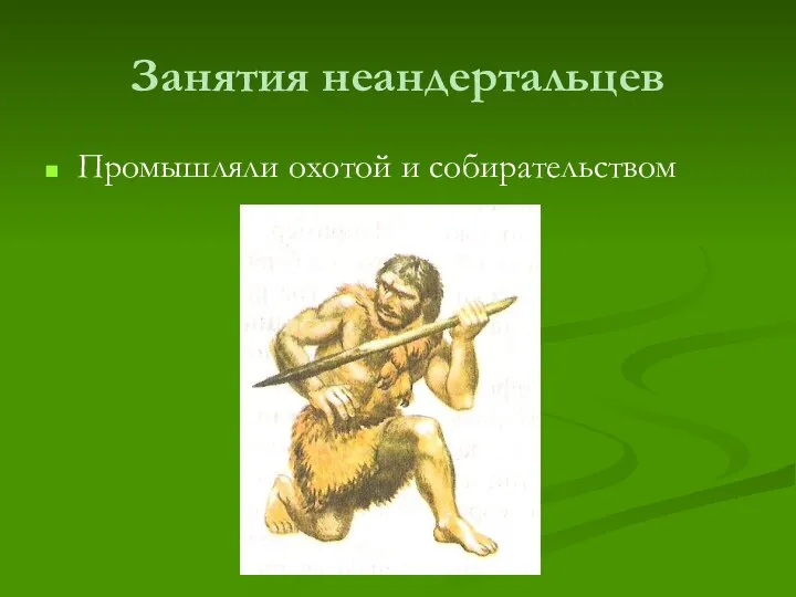 Занятия неандертальцев Промышляли охотой и собирательством