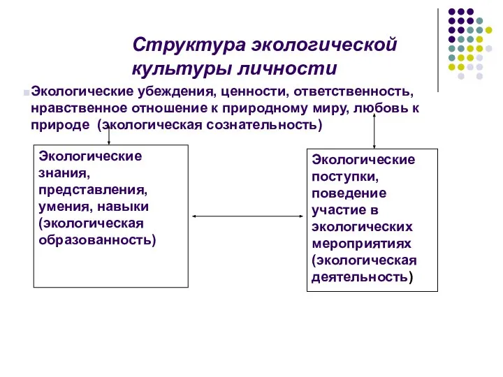 Структура экологической культуры личности Экологические убеждения, ценности, ответственность, нравственное отношение к