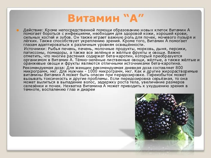 Витамин “A” Действие: Кроме непосредственной помощи образованию новых клеток Витамин А