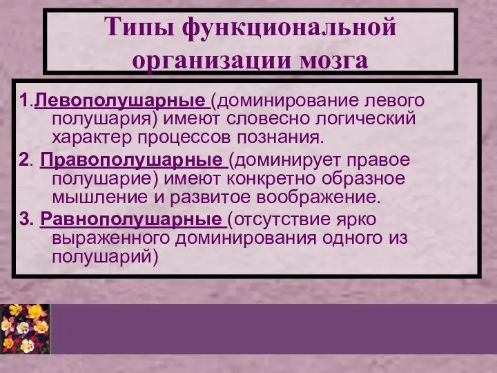 Типы функциональной организации мозга 1.Левополушарные (доминирование левого полушария) имеют словесно логический