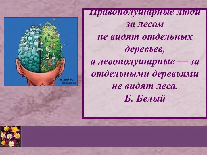 Правополушарные люди за лесом не видят отдельных деревьев, а левополушарные —