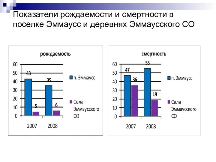 Показатели рождаемости и смертности в поселке Эммаусс и деревнях Эммаусского СО