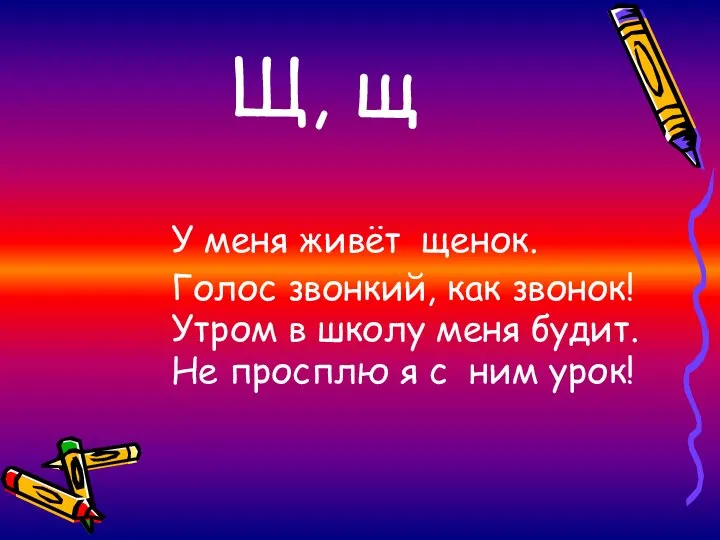 Щ, щ У меня живёт щенок. Голос звонкий, как звонок! Утром