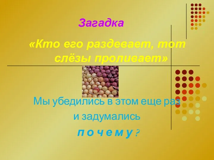 Загадка «Кто его раздевает, тот слёзы проливает» Мы убедились в этом