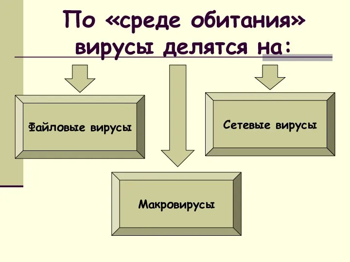 По «среде обитания» вирусы делятся на: Файловые вирусы Макровирусы Сетевые вирусы