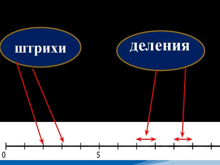 штрихи деления