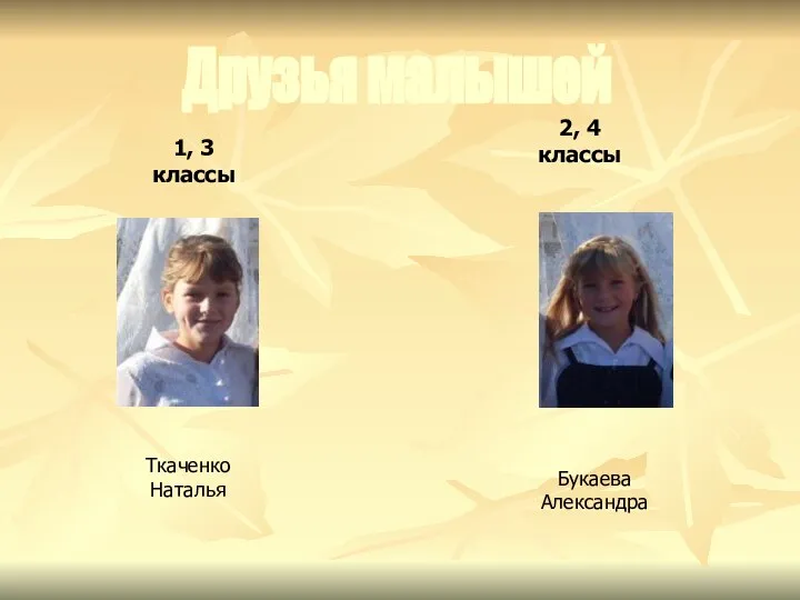 Друзья малышей 2, 4 классы Букаева Александра 1, 3 классы Ткаченко Наталья