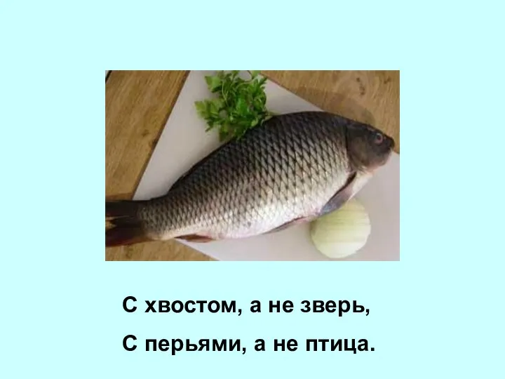 С хвостом, а не зверь, С перьями, а не птица.