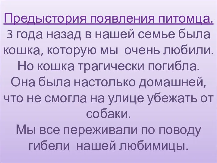 Предыстория появления питомца. 3 года назад в нашей семье была кошка,